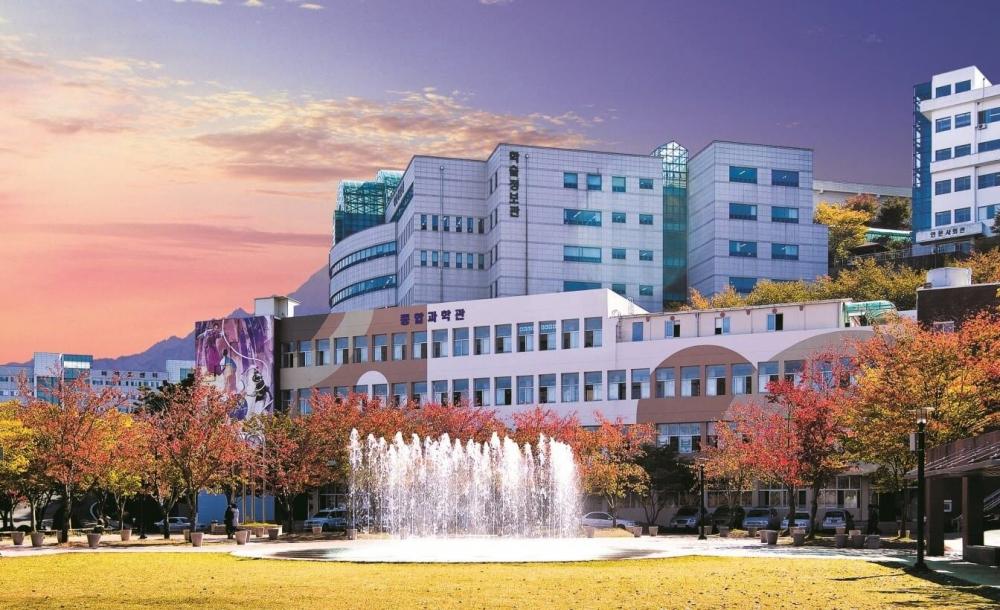 Đại Học Daegu – TOP 5 Trường Đại Học Lớn Nhất Hàn Quốc
