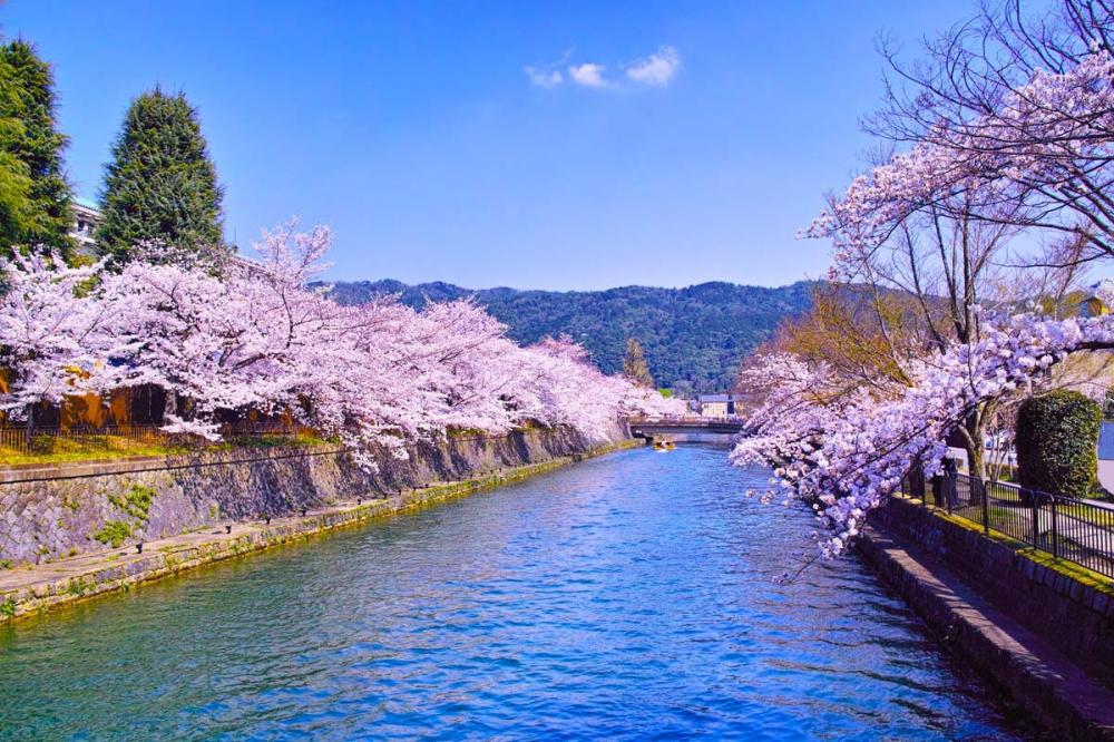 Du học Nhật Bản tại Aomori – Vùng đất của những vườn Táo