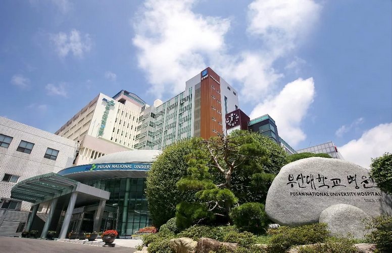 Đại Học Quốc Gia Pusan (Busan)
