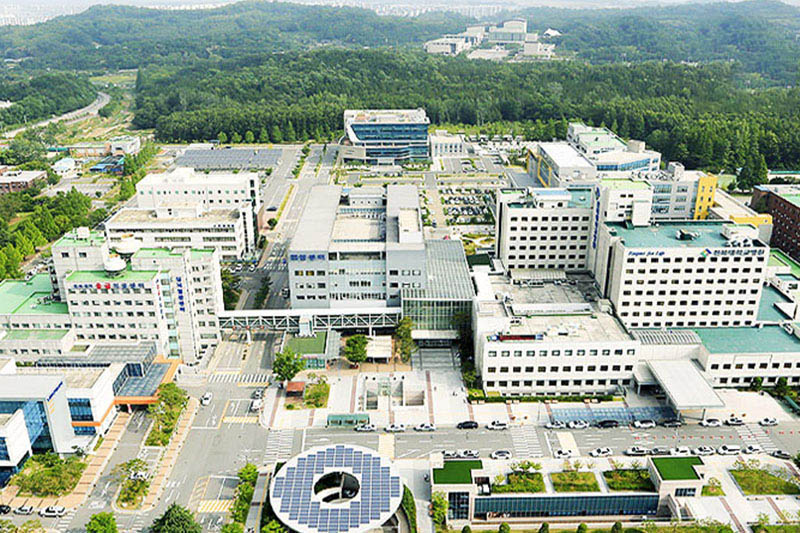Đại Học Quốc Gia Chonbuk (Jeonbuk) – Đại Học Quốc Gia Hàng Đầu Jeollabuk