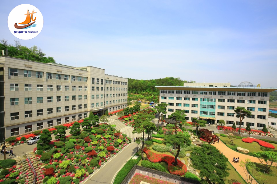 Đại học Seojeong – Đào tạo về ẩm thực khách sạn danh tiếng nhất Hàn Quốc