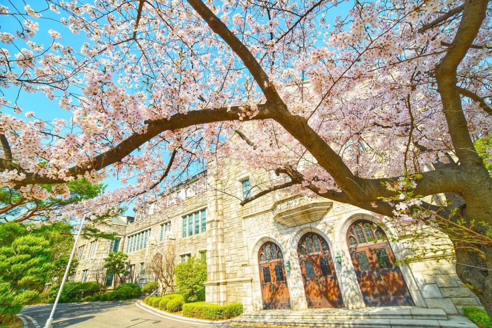 TOP 7 trường học phí thấp nhất tại Seoul