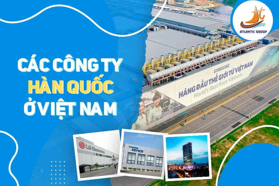 Các công ty Hàn Quốc ở Việt Nam: Cơ hội làm việc cho DHS Hàn Quốc