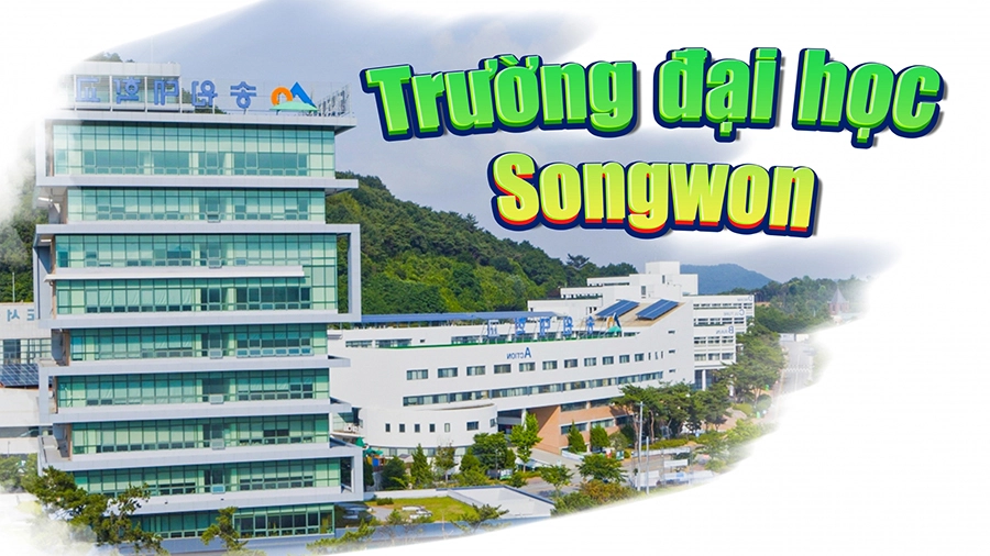 Đại Học Songwon