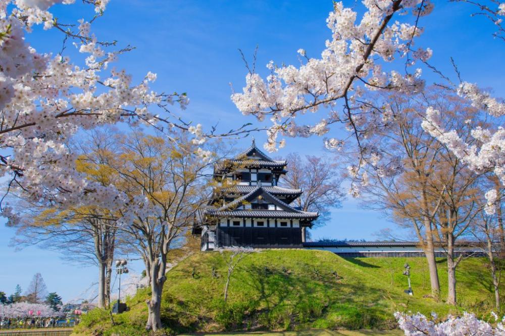 Du học Nhật Bản tại Niigata – Vùng Đất Duyên Hải Màu Mỡ Của Xứ Sở Phù Tang