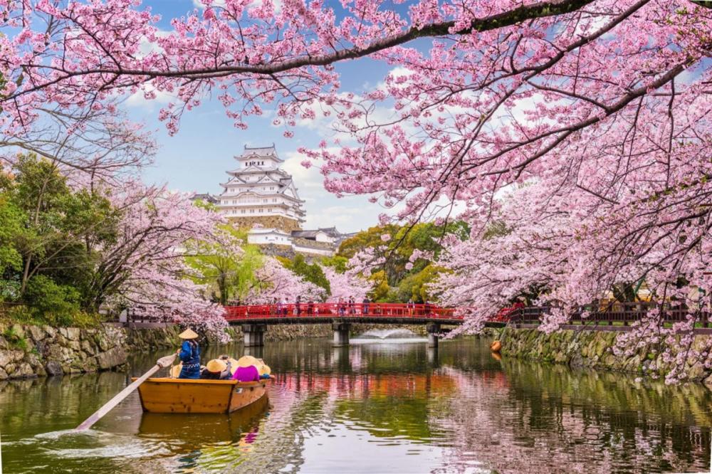Du học Nhật Bản tại Kobe – Trời Âu Giữa Xứ Sở Anh Đào