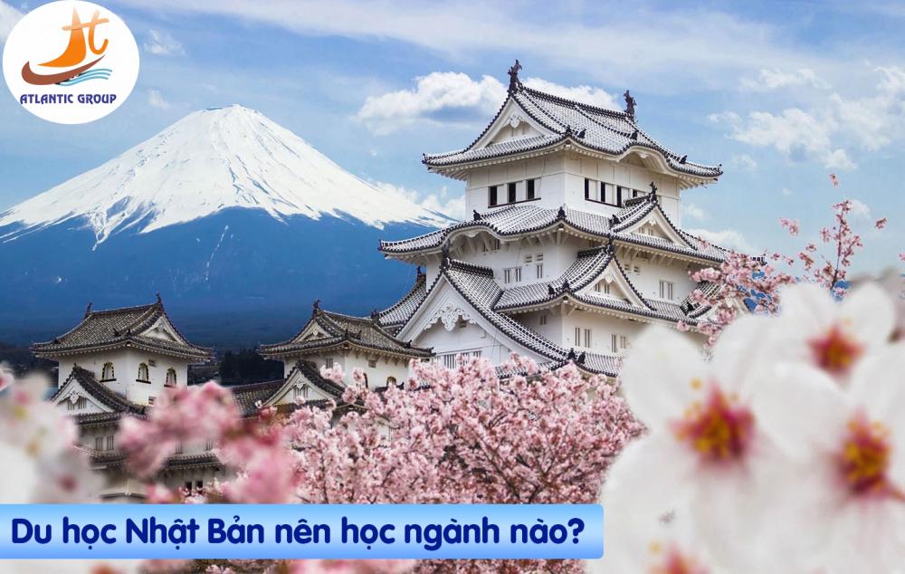 Du học Nhật Bản nên học ngành gì 2025?
