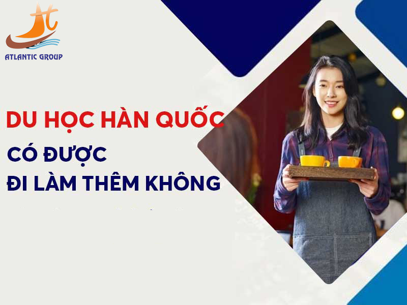 Du học sinh Hàn được phép làm thêm không?