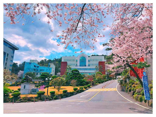 Đại Học Masan