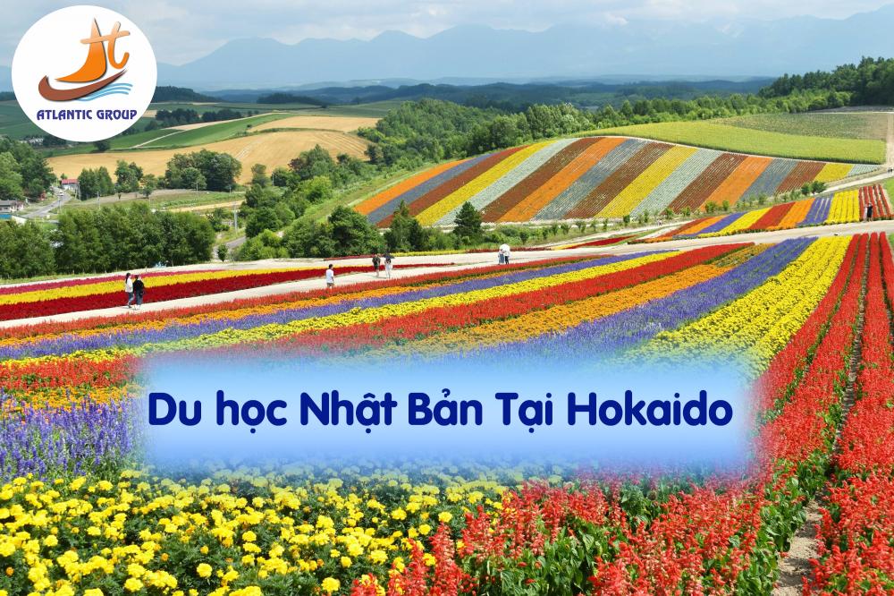 Du học Nhật Bản tại Hokkaido – Cực Bắc Của Đất Nước Mặt Trời Mọc